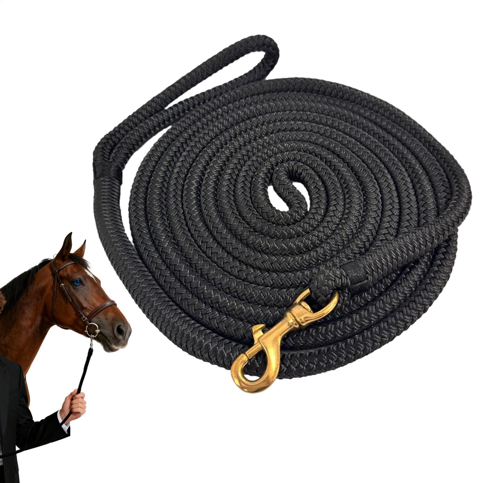 Lunge Line Horse - Línea de lunging para caballos de