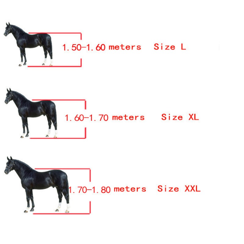 Botas para Caballos con Frente - Lunge Line Horse reseña y precio