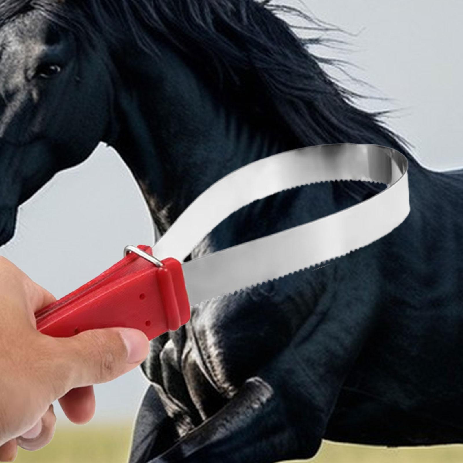 Práctico peine de crin de caba - Grooming Kit Horse reseña y precio