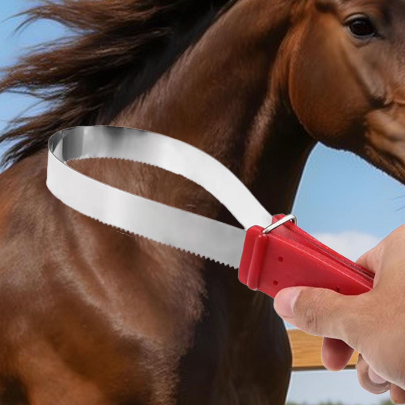 Práctico peine de crin de caba - Grooming Kit Horse reseña y precio
